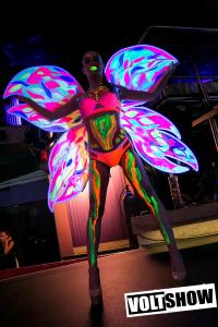 VoltShow20